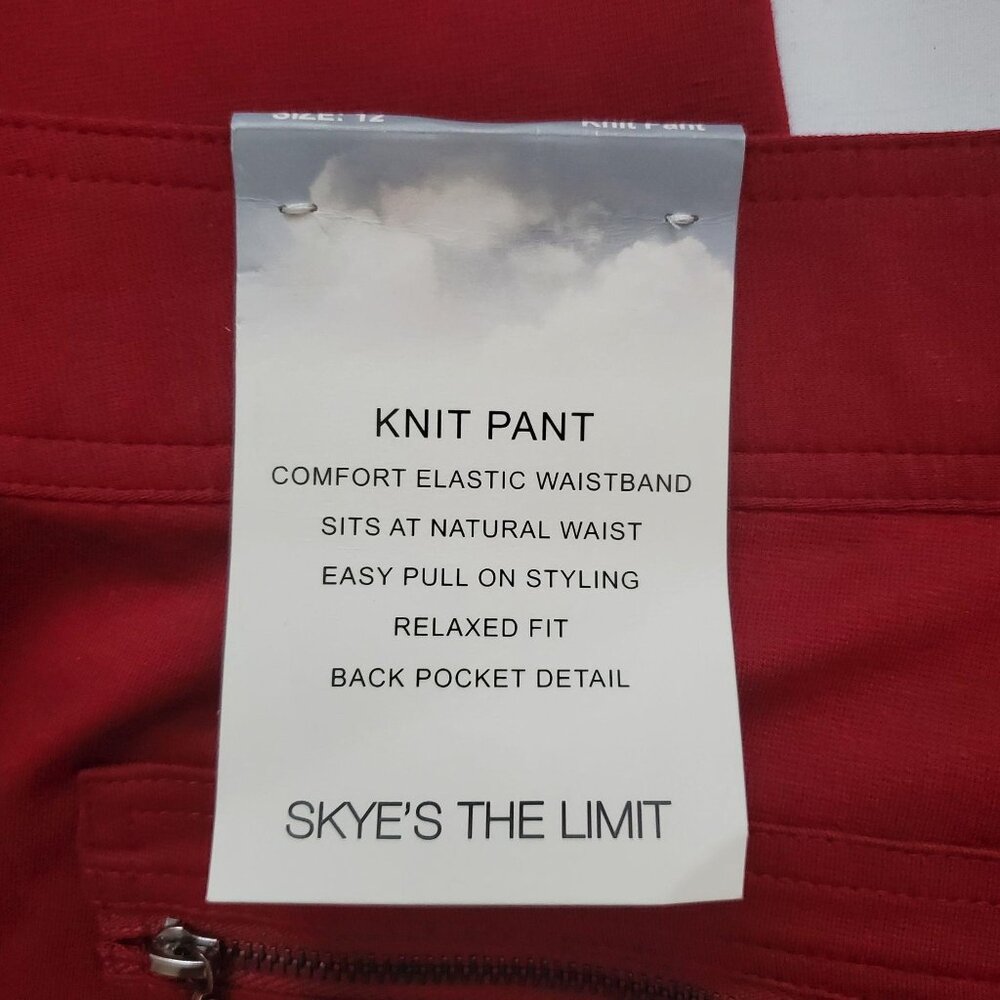 Skye's The Limit Red Back Zip Pockets Pull-On Ponte Pants Women's Size 12 NWT - Picture 8 of 15